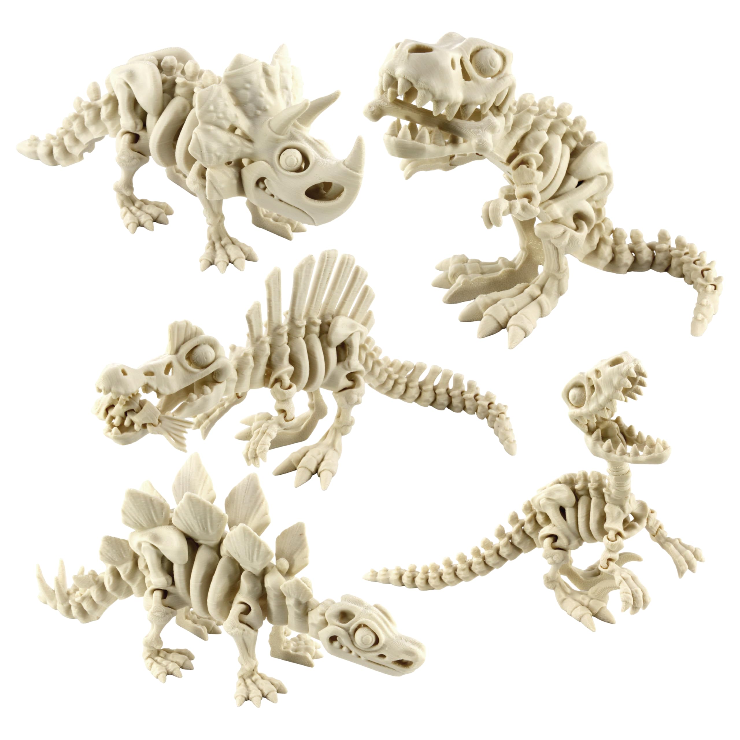 FAVORITE 恐竜 スケルトン 骨格 模型 1/20 ティラノ トリケラ Amazon.co.jp: PowerTRC 3Dプリント恐竜スケルトン、T-Rex